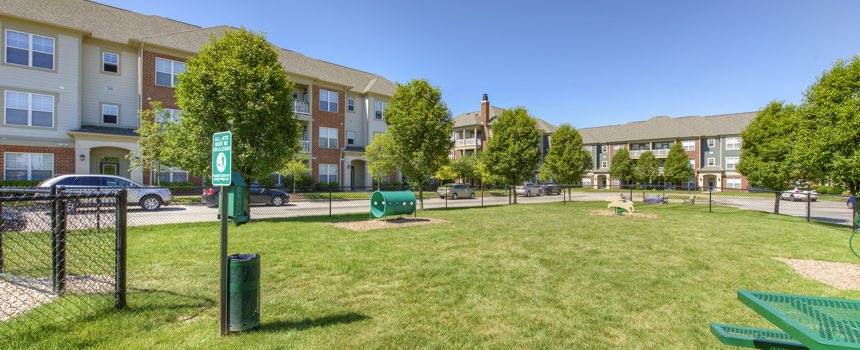 Picture of dog park in our Carmel apartment community